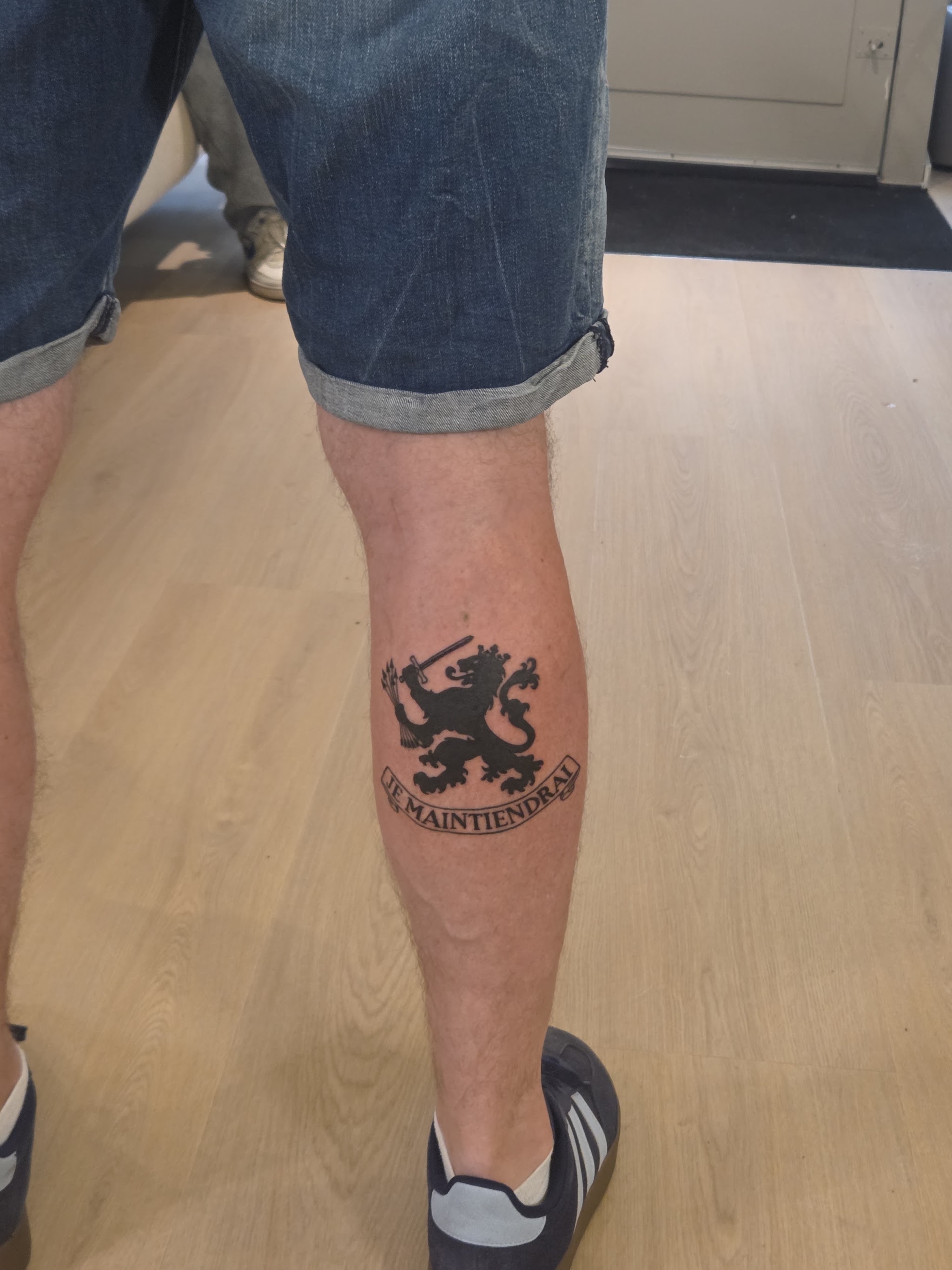 Zwarte leeuw met lint op de kuit
